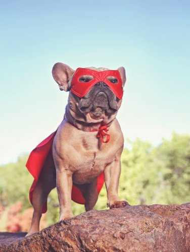 spscincinnati's tweet photo. Do you have your costume for #spscinci2018 TOMORROW!? INCYMI: Best costume wins a prize!!! https://t.co/U4A2cDiqUH #spscincinnati @CinState #Cincinnati #SharePoint #O365 @FocalPointSP @sldeere #spscinci #bestcostume https://t.co/YoeGdJPuEH