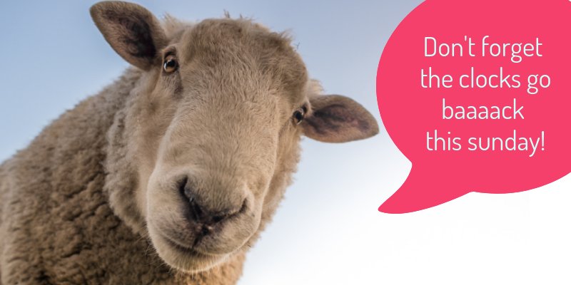 RuralInsurance's tweet image. Don't forget #ClocksGoBack this sunday!