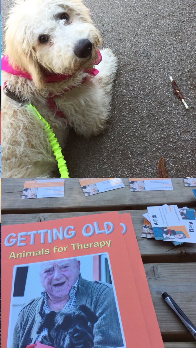 Orangetreepriv1's tweet photo. #bonniebear book signing at schools in #Leicestershire #gettingoldbook #helpingelderly #helpinganimals #helpingchildren #orangetreeprivatecare #authorhousepublishing #bobanddarkie @animalsfordeme1 @Orangetreepriv1 @CApostolopoul #animalsfortherapy #animalsfordementia https://t.co/2kVbS310Rl