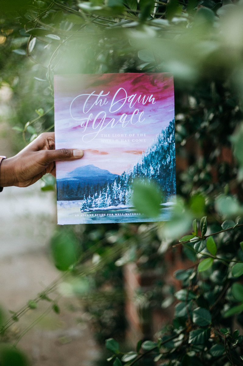 wellwateredco's tweet photo. Miss out on our pre-orders for our Advent study, The Dawn of Grace? Join our waitlist and be notified when we release a limited amount of extra studies! 

https://t.co/EQANeZx6yn https://t.co/aatM5Josxy