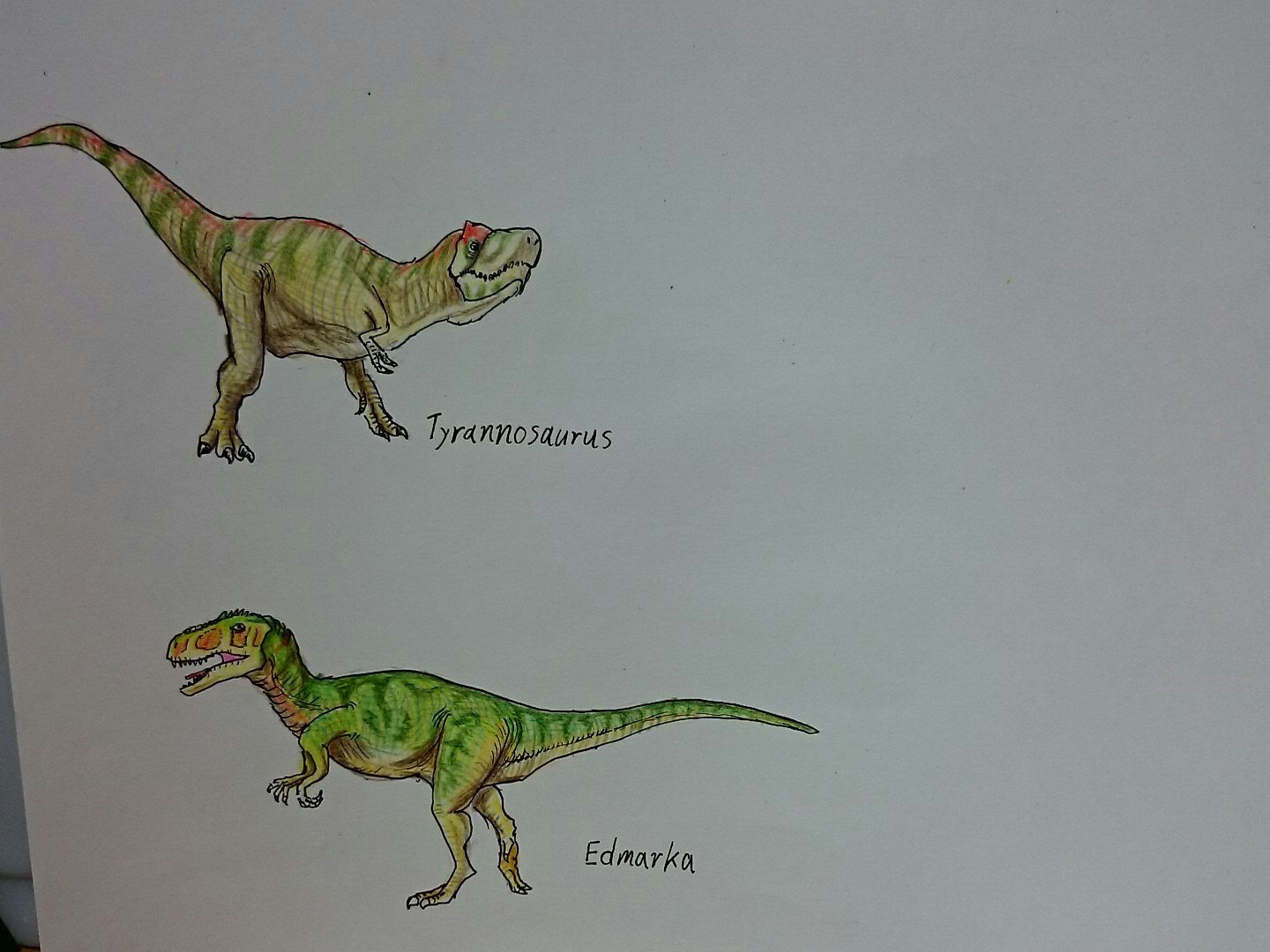 さとし工房 ジュラシックワールド Jurassicworld ラプトル4姉妹が遂に完成した シャーペンで線画 ペンで輪郭と皺と鱗 鉤爪を描く 色鉛筆で体色や模様 影を入れる という手順で描いた T Co Jguysueks8 Twitter