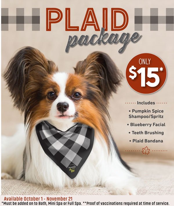 pet supermarket vaccinations