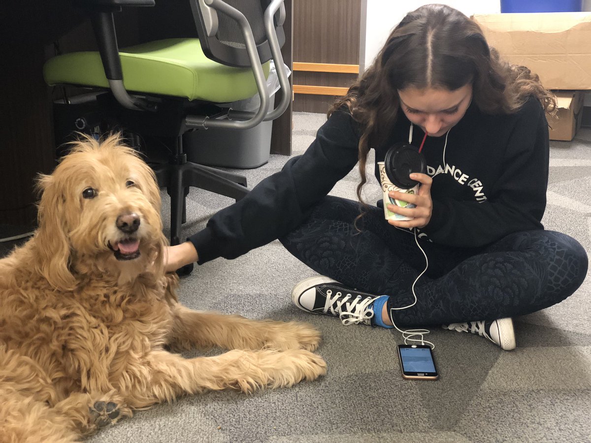 WBHSiCenter's tweet photo. @lu_elizabeths reviewing for a quiz with a little help from #Noodle and a cup of cocoa! #notyourmotherslibrary https://t.co/FkiBwFReNr