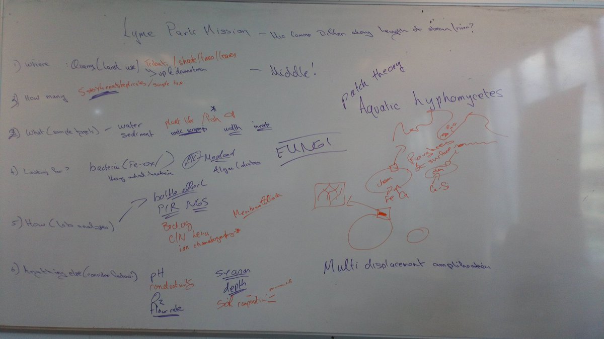 Kelly_LauraC's tweet photo. Final year undergrads planning stream sampling and analysis strategy for microbial analyses. Actual sampling in two weeks! Some interesting discussions @manmetmicro @MMUEcolEnv https://t.co/xGAKj8mjSo