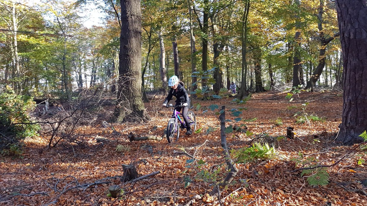 VeloFife tweet media