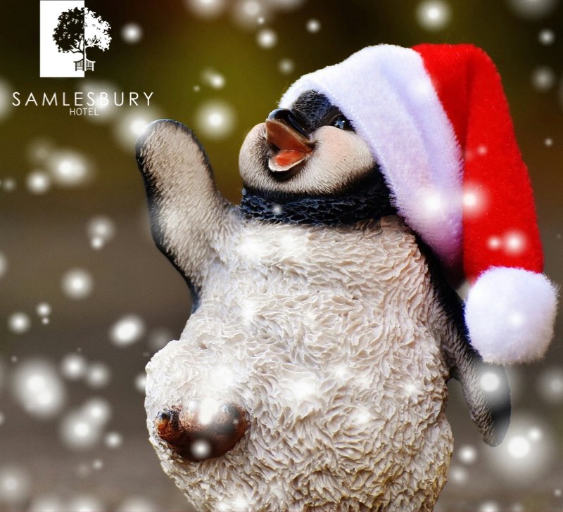 Are you as excited for Christmas as we are?!🎄🎅🏼
If you’ve yet to book your Christmas party we do still have a few spaces remaining on our party nights!
To find out more please contact our Christmas team on 01772 868000 or email events.samlesbury@squirehotels.co.uk #bestwesterngb