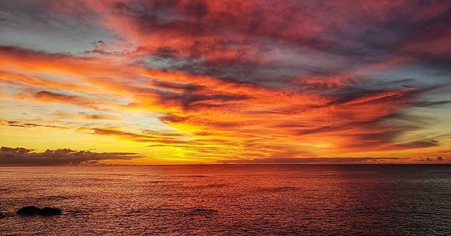 WeAreBermuda's tweet photo. Sometimes I believe in as many as six impossible things before breakfast 🌅
📷:@michelle_ma.belle
.
.
.
.
.
.
#imalice #inwonderland #sunrise #bermuda #pinkskyinthemorning #ahhbermuda #wearebermuda https://t.co/0FlCuTvrWf https://t.co/8K86THeacY