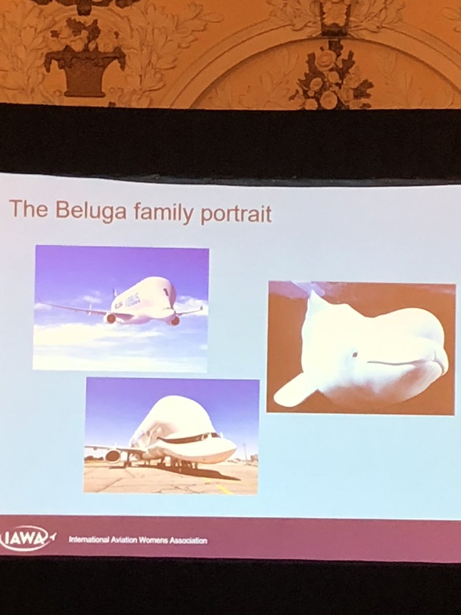 #airbus #beluga airbus cargo plane, copy of the beluga whale