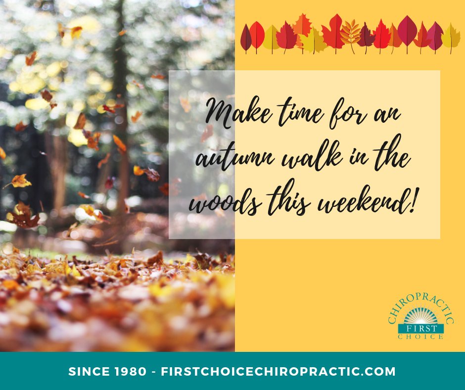 FirstChoiceA2's tweet image. Where is your favorite place in #AnnArbor or #Ypsilanti to take a walk in the woods?