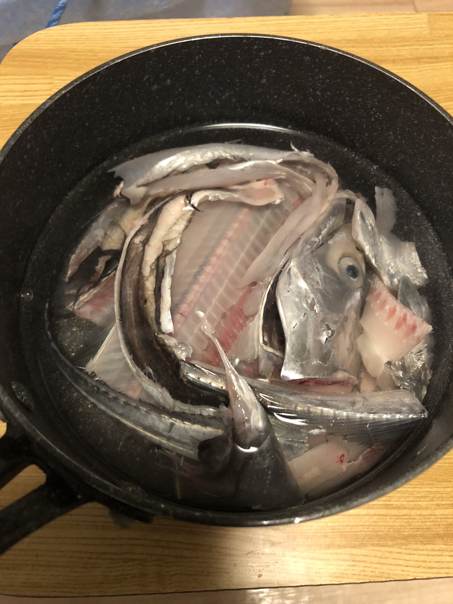 さかな芸人ハットリ Dlduo336 これを捕食するって なかなかのグルメですねー Twitter
