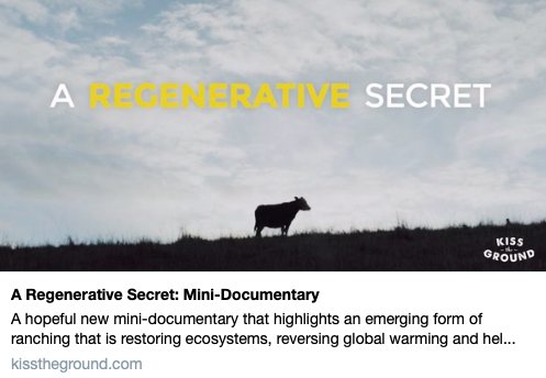 Learn the secret that is restoring #ecosystems, reversing #globalwarming and creating prosperity and abundance. #regenerativesecret #regenerativeranching @kissthegroundca @joycefarms @belcampomeat @savoryinstitute youtu.be/n2W8dKdgGhc