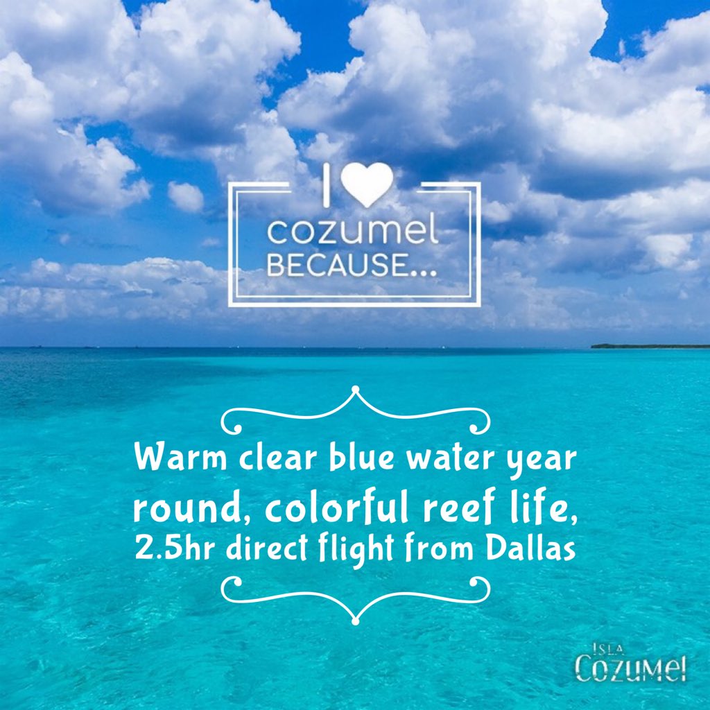 BinarySecure's tweet photo. @VisitCozumel https://t.co/aSjMxDGVdC