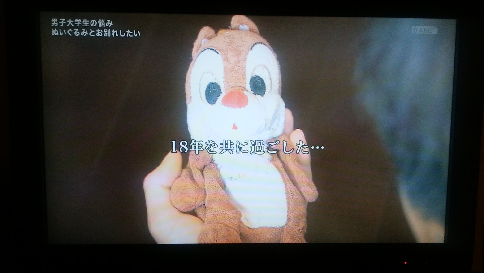 じろりろぽん 司書資格取得した 探偵ナイトスクープ 昔から一緒にいるぬいぐるみを手放せない大学生の人が2人出てきて わかる って思ったけど 依頼が 手放したい で なんで手放さないといけないと思ったんだろう と思った こんなかわいがってるの