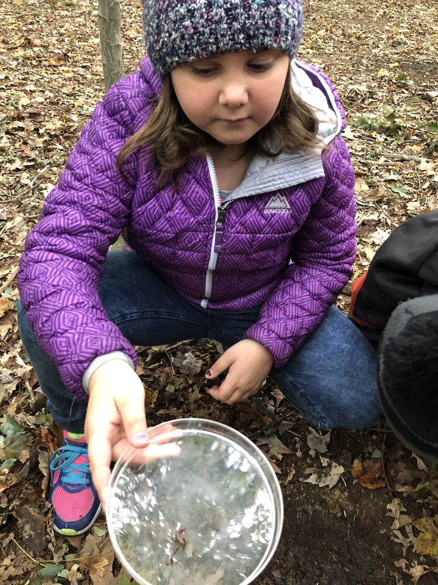 Operation Worm Watch! 🔬 🐛