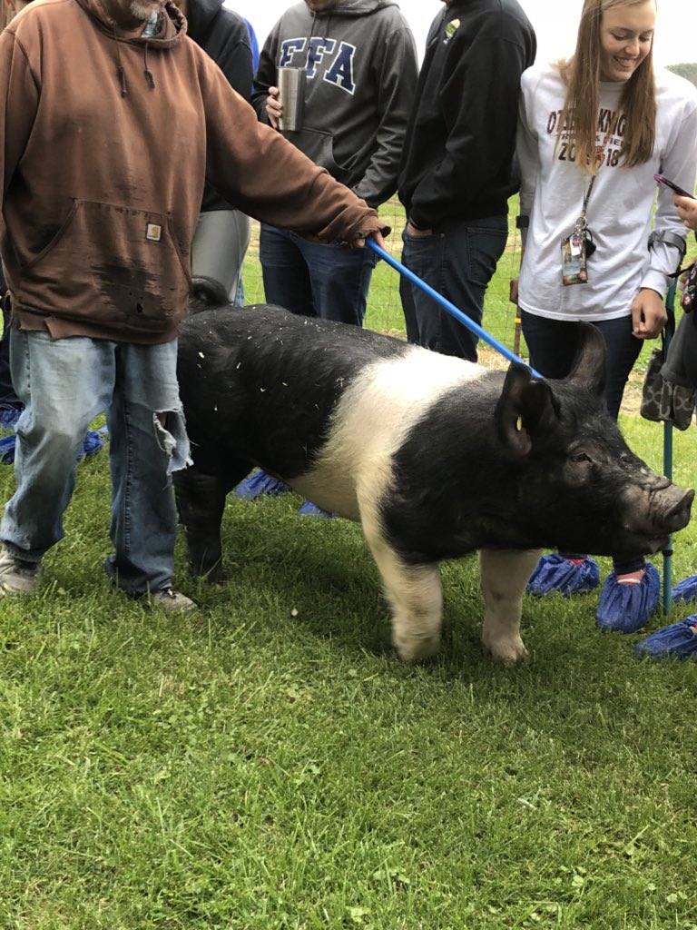 OtsegoFFA's tweet photo. Thank you @ShafferGoldRush a boar stud for the tour and teaching us about the process. #OtsegoKnights #PentaCC https://t.co/HwknvuwJLN