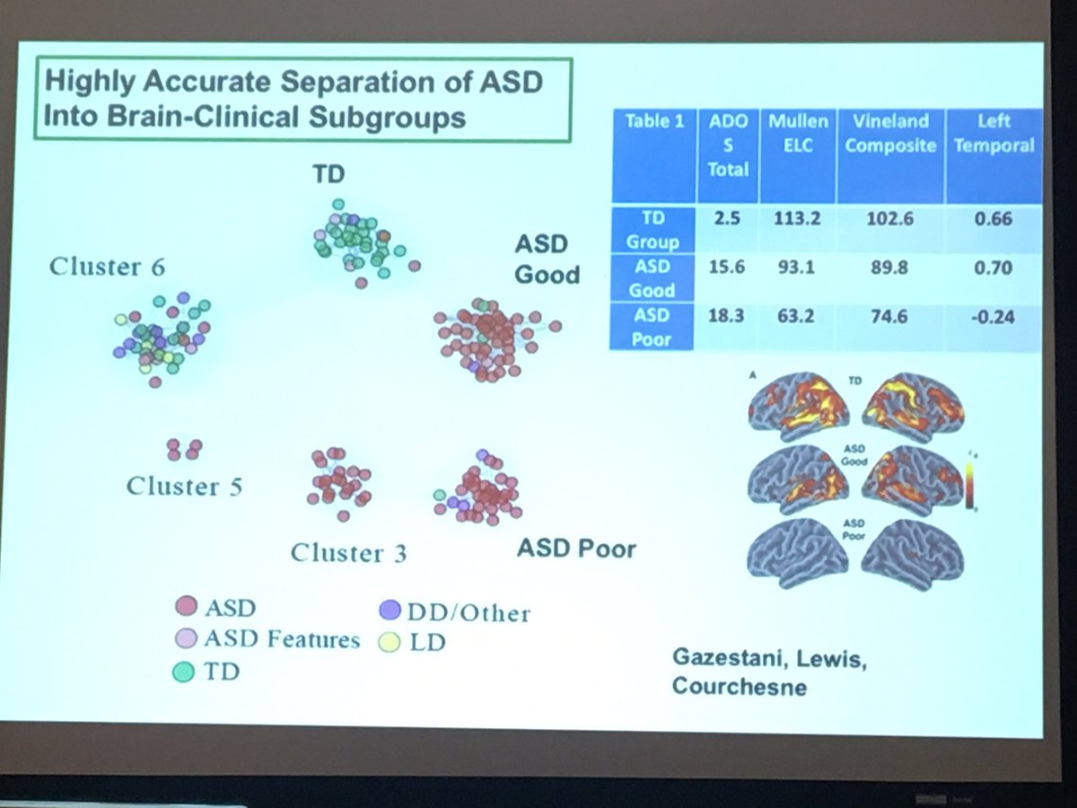 amldavis's tweet photo. Low brain activity in frontal and temporal lobes early on is not only predictive of poor language outcomes, but also correlates predictive assessment scores @Geneva_Centre #autism2019 https://t.co/DEwb7kJgR4