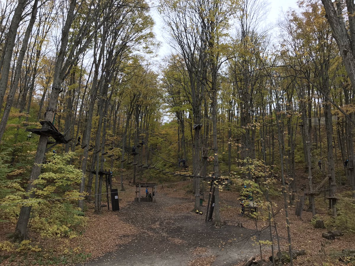 AllenAcsai's tweet photo. Hangin out in the trees today!! Gr. 10 ISS Phys Ed @TreetopTrekking https://t.co/XUUq9MI7gL
