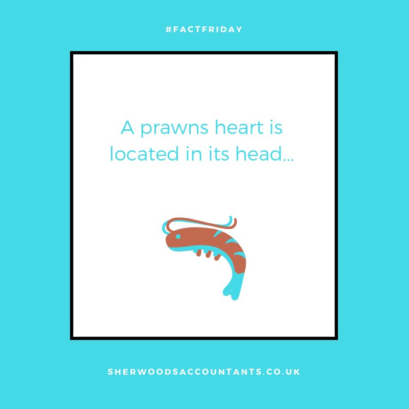 Does this mate it easy when they have to decide whether to follow their head or their heart? #FactFriday #Prawn