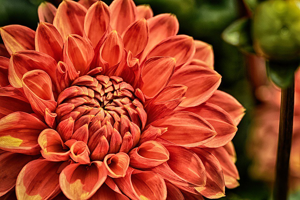 CribbEmmy's tweet photo. #Hospice of #Petaluma is currently seeking a Grief Counselor. Apply today! https://t.co/7XnRb0DDNy #PSJHJobs #Healthcare https://t.co/qr3ZZjeUMY