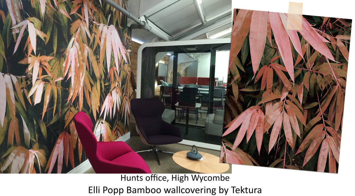 Tektura Wallcoverings (@tekturatalk) on Twitter photo We love this statement wall at <a href="/huntsoffice1/">Hunts Office</a> using our <a href="/ElliPoppDesigns/">Katja Behre</a> Bamboo in pink #wallcovering. See more of our Elli Popp #designs here: bit.ly/2IW4UJ2 #interiordesign We love this statement wall at <a href="/huntsoffice1/">Hunts Office</a> using our <a href="/ElliPoppDesigns/">Katja Behre</a> Bamboo in pink #wallcovering. See more of our Elli Popp #designs here: bit.ly/2IW4UJ2 #interiordesign
