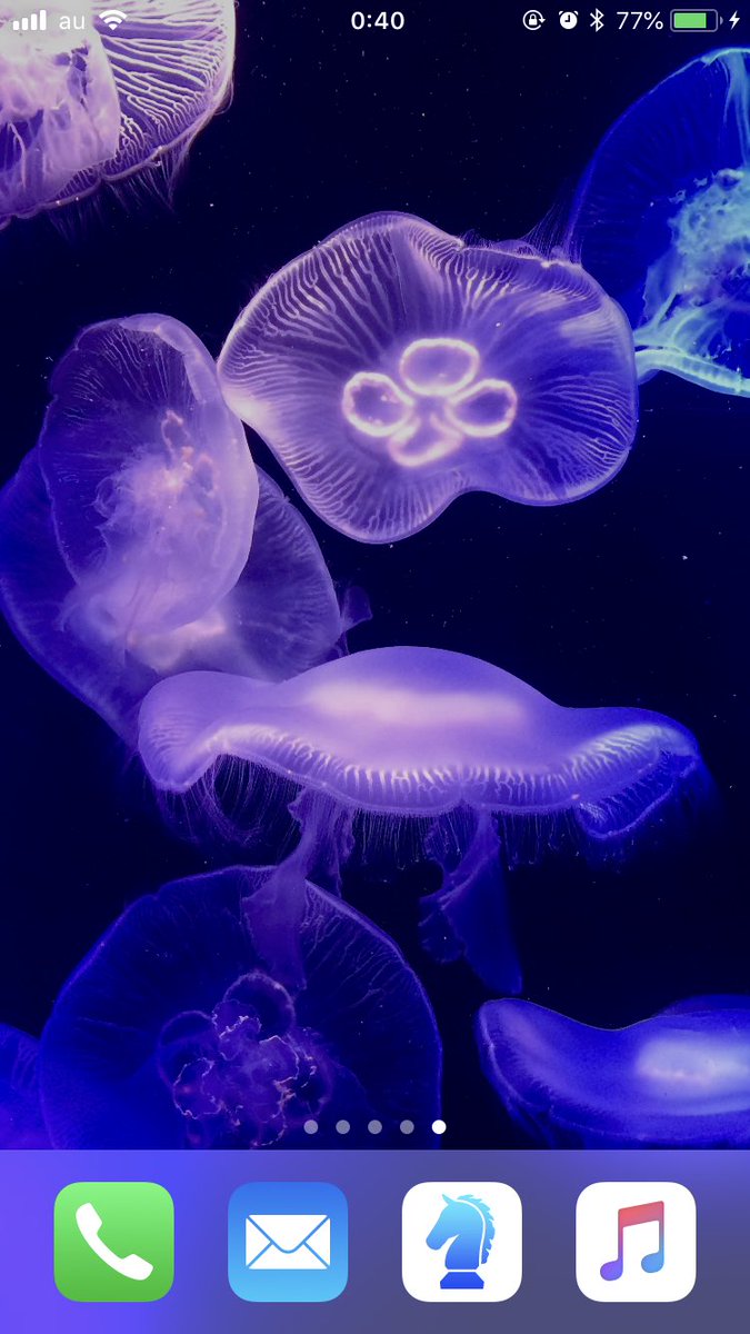 サバノ ミソニのコツ いや 人生にクラゲが足りてねえな ところでおれのホーム画面を見てくれ これはデレ5th福岡で現地に行った時に寄ったマリンワールド海の中道で撮ったミズクラゲの写真なんだが メチャメチャメチャメチャメチャに気に入ってて当時 サバノ ミソニのコツ いや 人生にクラゲが足りてねえな ところでおれのホーム画面を見てくれ これはデレ5th福岡で現地に行った時に寄ったマリンワールド海の中道で撮ったミズクラゲの写真なんだが メチャメチャメチャメチャメチャに気に入ってて当時