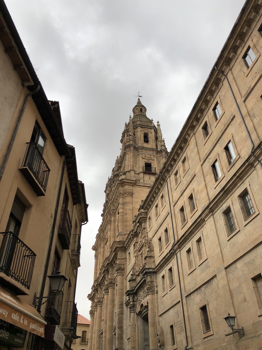 TEEMConference's tweet photo. Guided tour through Salamanca, last social activity of the Conference 😊 #TEEM2018 https://t.co/F9k2wz2wlN
