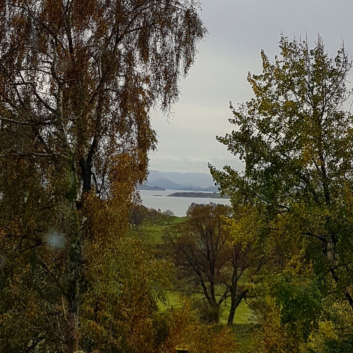 littdiva's tweet photo. Out there #østhusvik #rennesøy #norway #travel #globalnomads #postcardsfromtheworld #utno https://t.co/TQdFz0mzZx