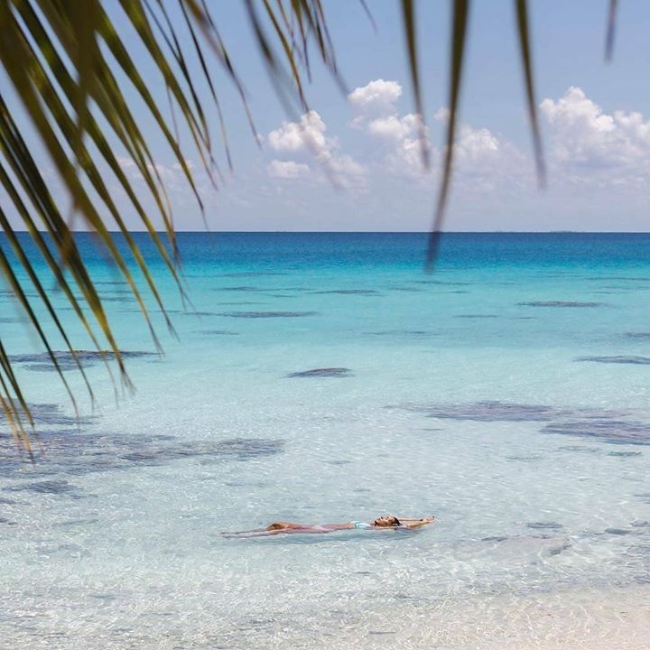 @the_wild_walker - 🌴he island life is definitely the best ift.tt/21dngc4