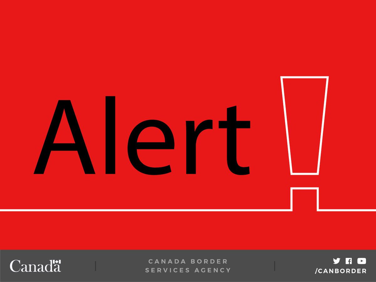 Kelly Whelan (KellyWhelan25) Twitter