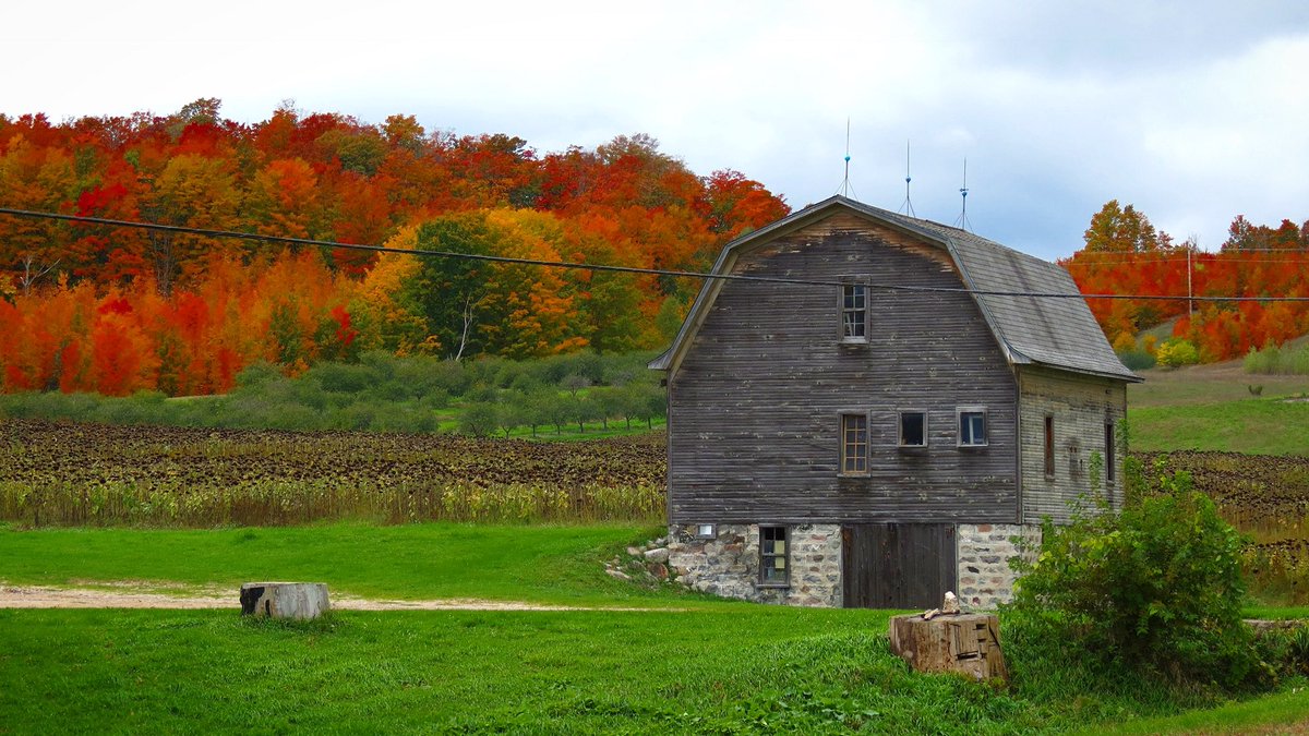 MitchandMarcy's tweet photo. This #oldbarn and #fallsplendor ππ#caughtmyeye #hadtopullover #hey_ihadtosnapthat
#backroadsarethebestroads
ππΈ#mitchandmarcyphotos
@PureMichigan #FallFilter @AroundMichigan @TraverseCity @MIBeachtowns @HikeNorthernMI @mynorth @PicBallot @SleepingBearNPS
#PureMichigan https://t.co/oxwMNxkA4j