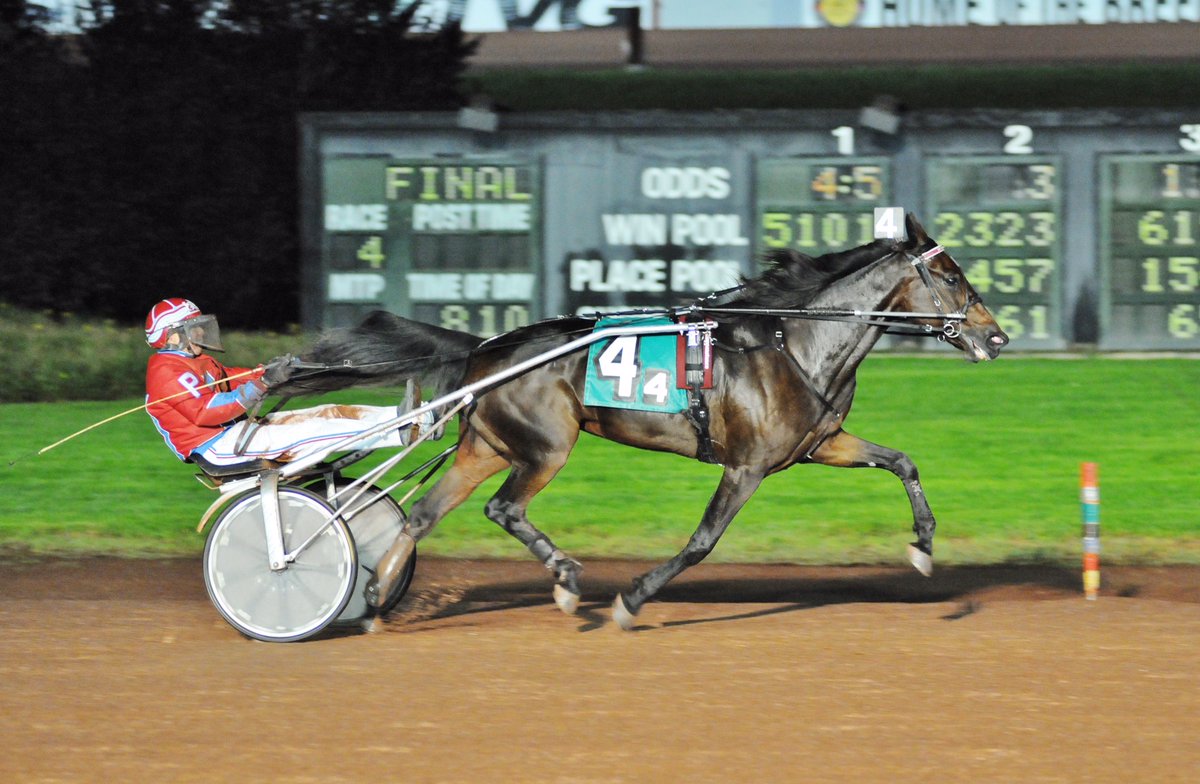 NF Happenstance has changed the life of Jack Parker Jr.

ustrottingnews.com/nf-happenstanc…

Photo by: Curtis Salonick