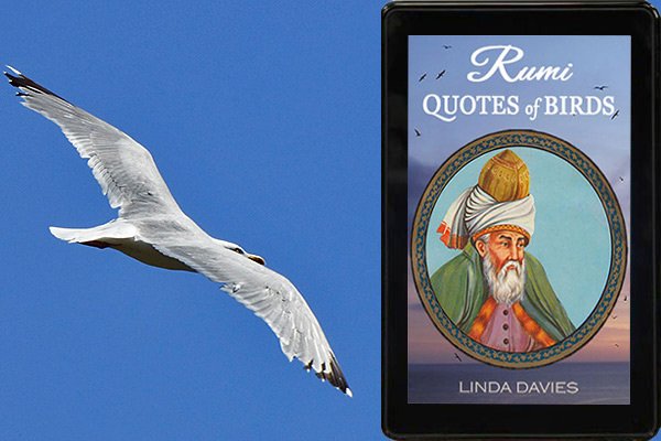 RUMI: QUOTES of BIRDS #99c Rumi's poetry + original photos share love and passion for the sea #Free with KU amazon.com/dp/B071L3S63B       #Rumi #Love #IAN1 #IARTG