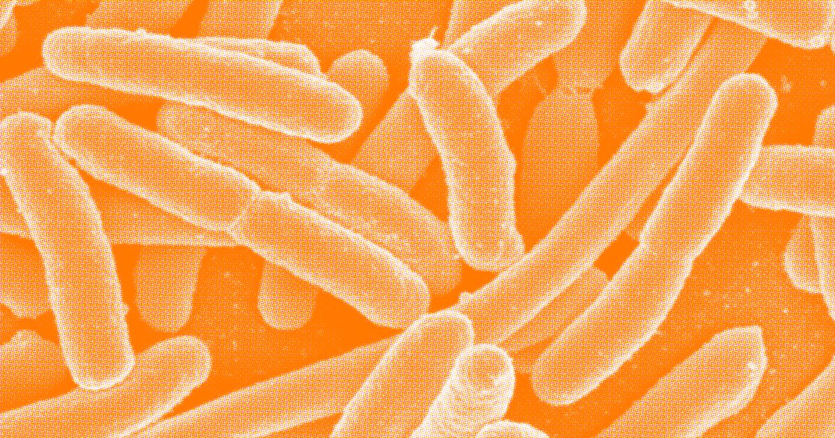 A New Test Can Screen for Every Bacteria That Causes Disease In Humans

buff.ly/2q9bchi 

#ClinicalResearch #Diseases