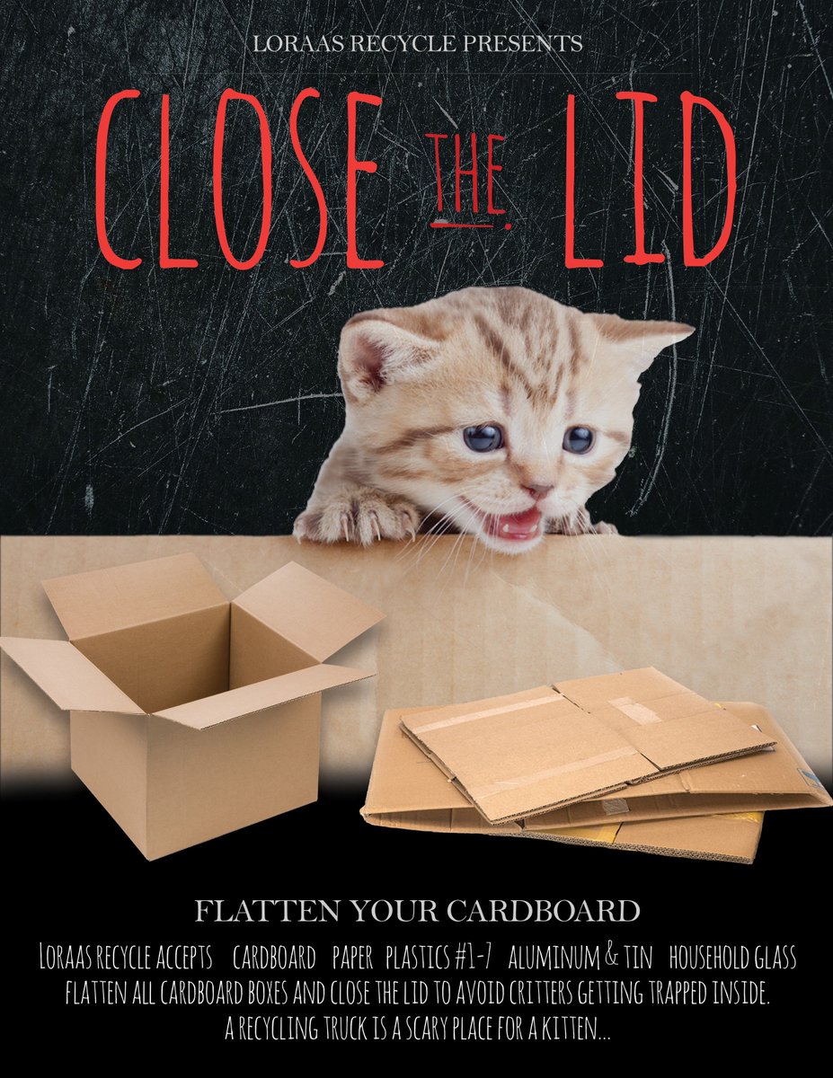 We accept cardboard, paper, plastics (with the #1-#7 &amp; ♻️symbol), household aluminum/tin &amp; household glass. PLS flatten cardboard boxes &amp; close the lid to avoid critters, from getting trapped inside. A recycling truck is a scary place for a kitten... #spooktober #yxe #spooky