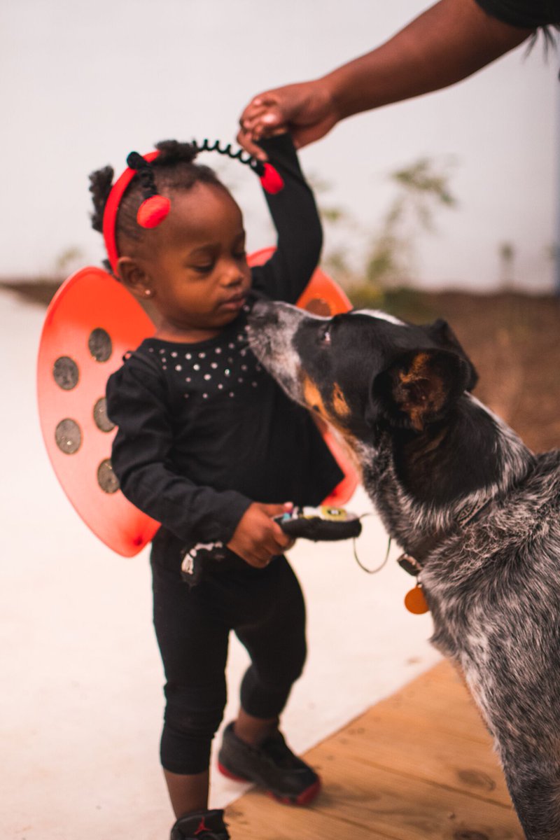 ONE day to Halloweekend. 12pm-5pm Sat. 10.27. $5 Pumpkin decorating, live DJ, free trick-or-treating, 2-for-1 Bay Waves at 4pm. Kid &amp; dog-friendly. Tix here: bit.ly/2CTlo5X