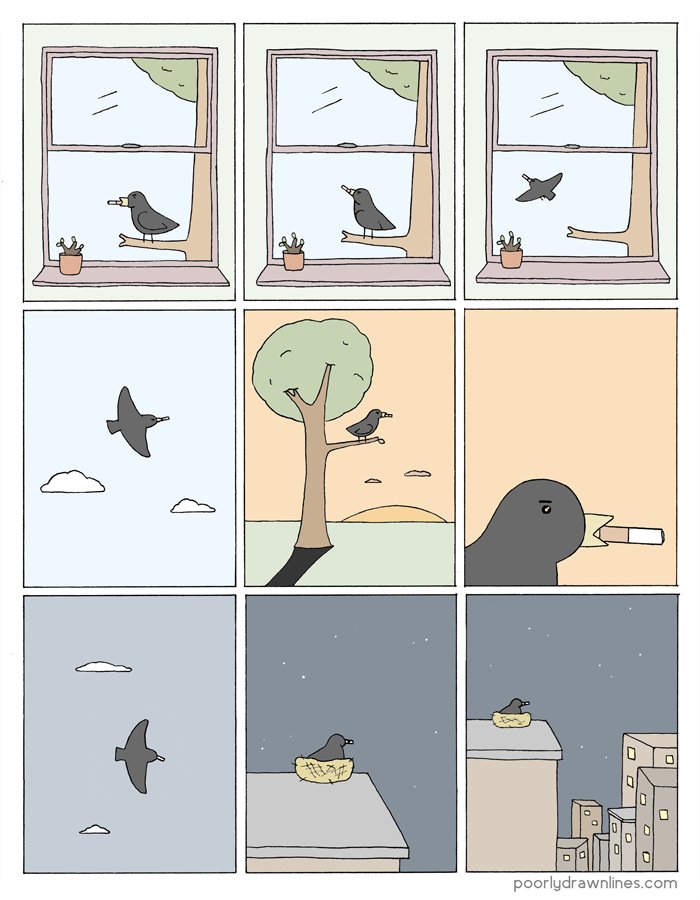 that bird 