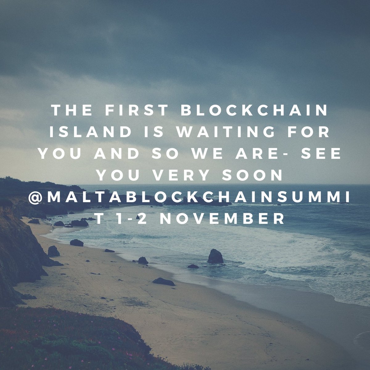 TokenBackers's tweet image. #blockchainisland #blockchain #token @BlockchainMT