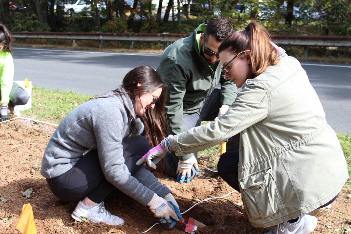 VolunteerReston's tweet photo. As part of RA's Daffodil Beautification Project, volunteers from @EGroupEngage planted over 1,000 daffodil bulbs along Reston Parkway between Glade and South Lakes Drive. Many thanks! #EnjoyReston #Reston #Volunteer PHOTOS: https://t.co/SKHpHXcSOz @RestonOnline @restonnature https://t.co/yZPJULmd6o