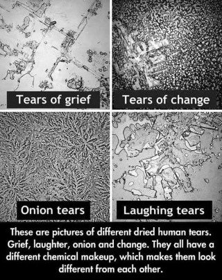 ScienceDiscuss's tweet image. 