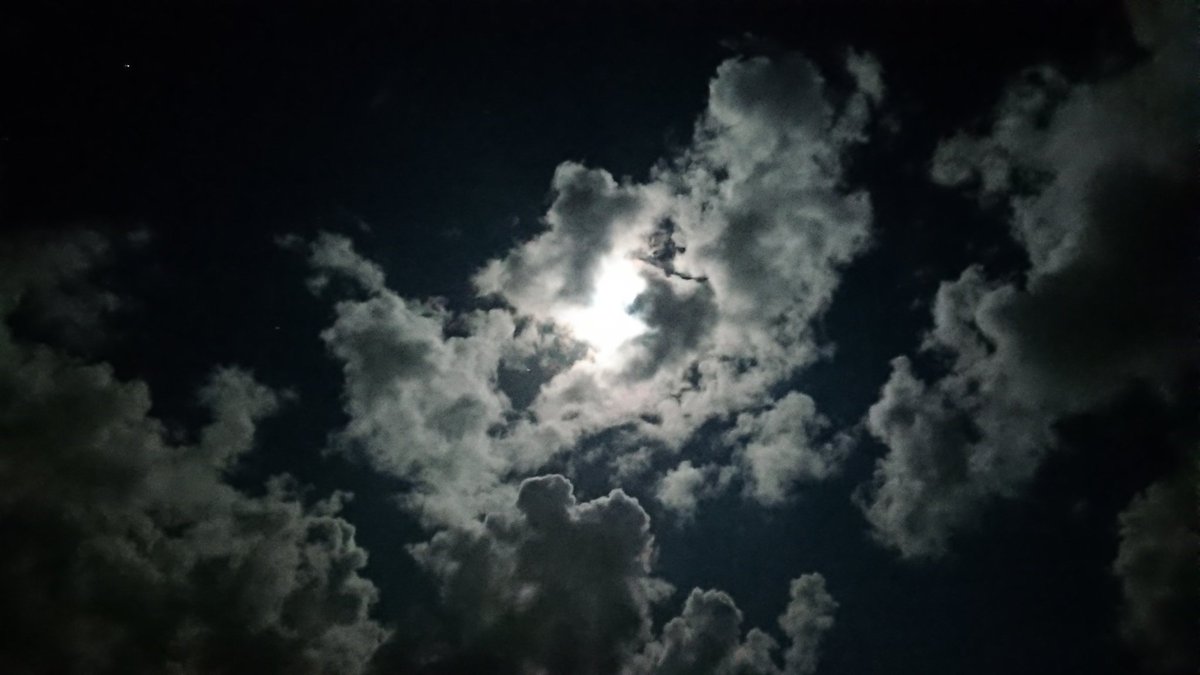 Quemenes_Iroise's tweet photo. Instant volé à une #lune masquée de cotonnade... la magie d'une nuit claire sur #Quemenes.
Bonne nuit à tous !
#cieldenuit #bretagne #finistere #nofilter https://t.co/pWxMcTa3YK