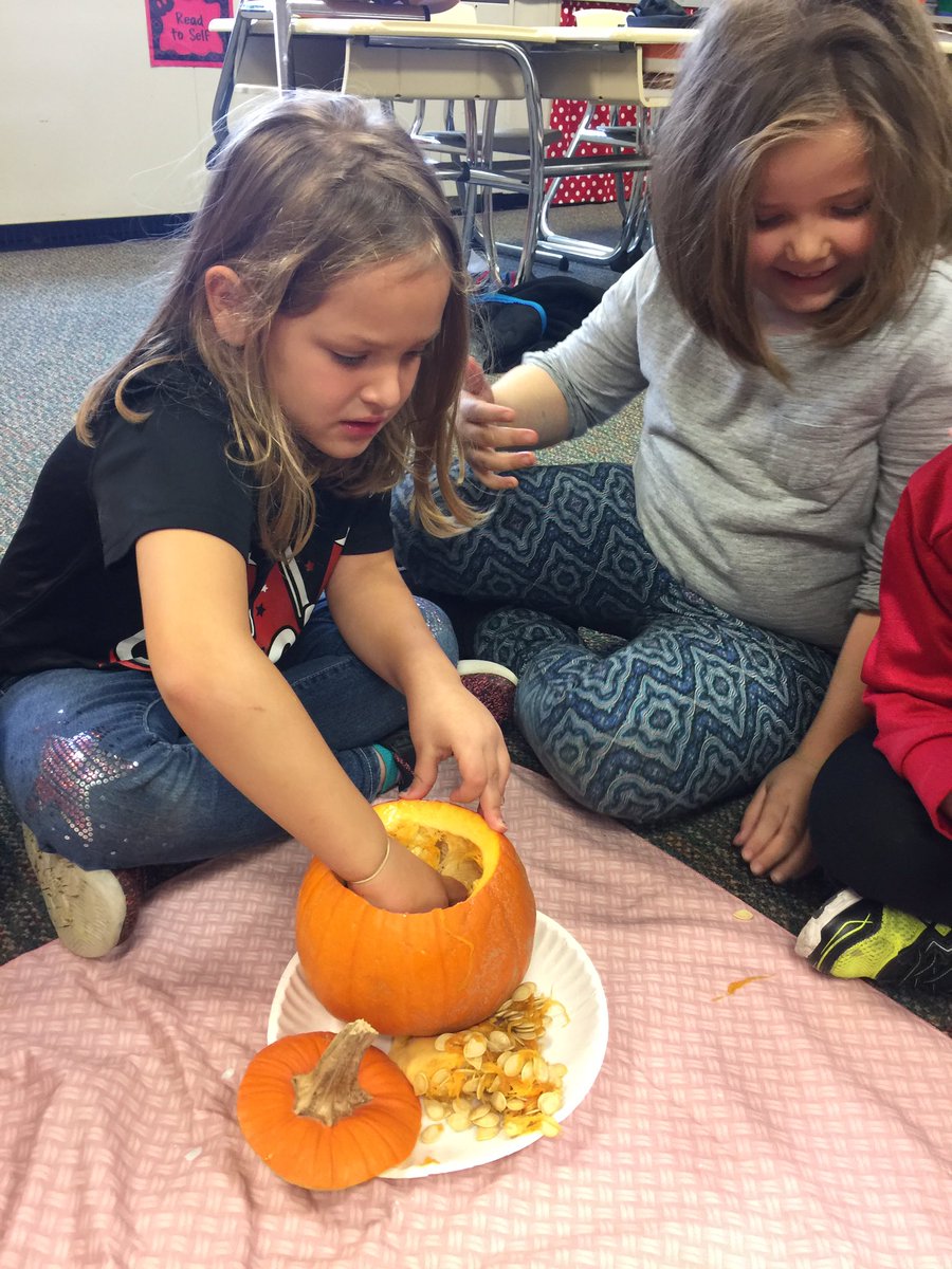 MelissaWynn1's tweet image. We measured our pumpkins, tested to see if they would float or sink and then we counted the seeds! 🎃 #HowMuchWeCanGrow #ScienceAndMath @SunmanEl
