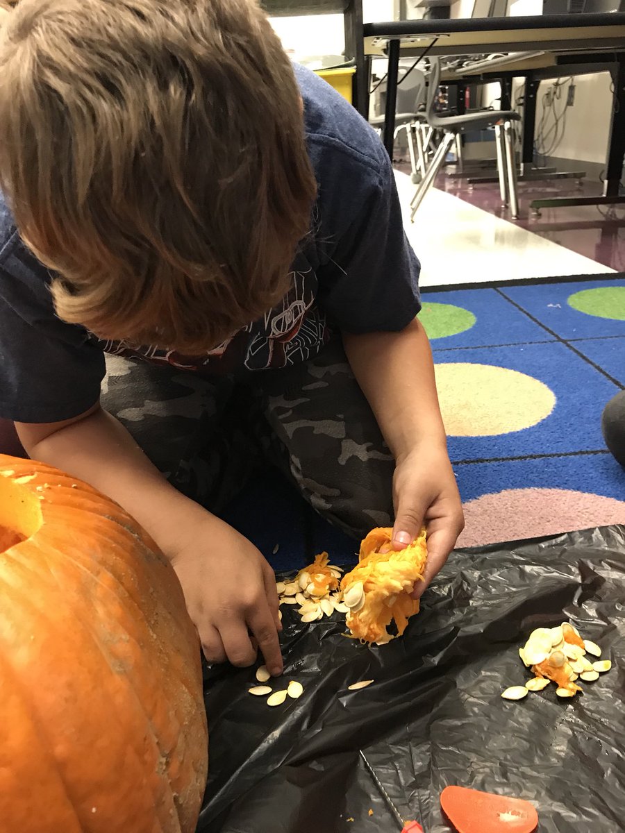 ReadingRocksMVE's tweet photo. Fun with pumpkins! #math #learning #pumpkins #fall #ChallengeAccepted @MVEMustang https://t.co/SY0m5rpPh0