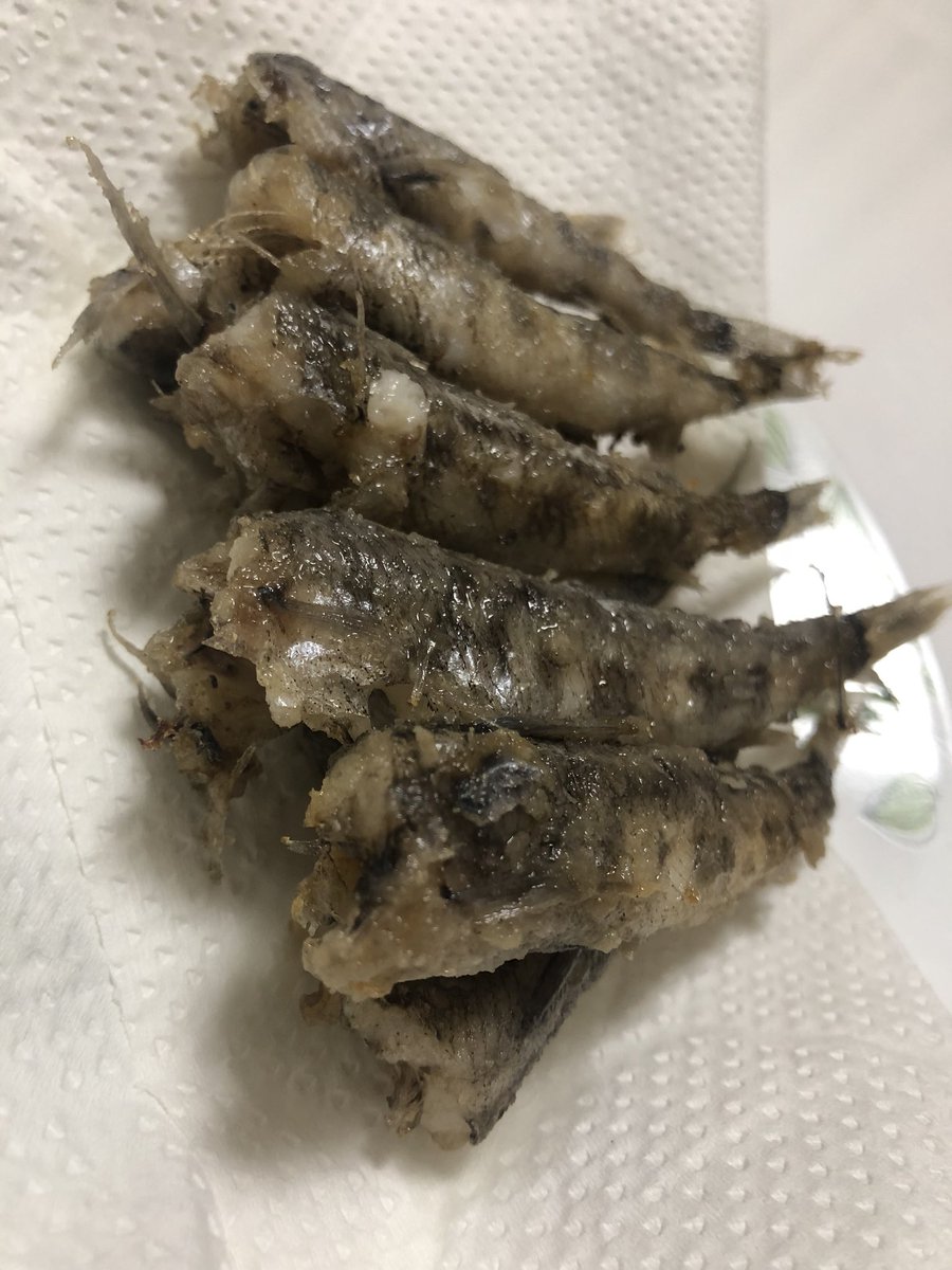 めひかり بحث في تويتر