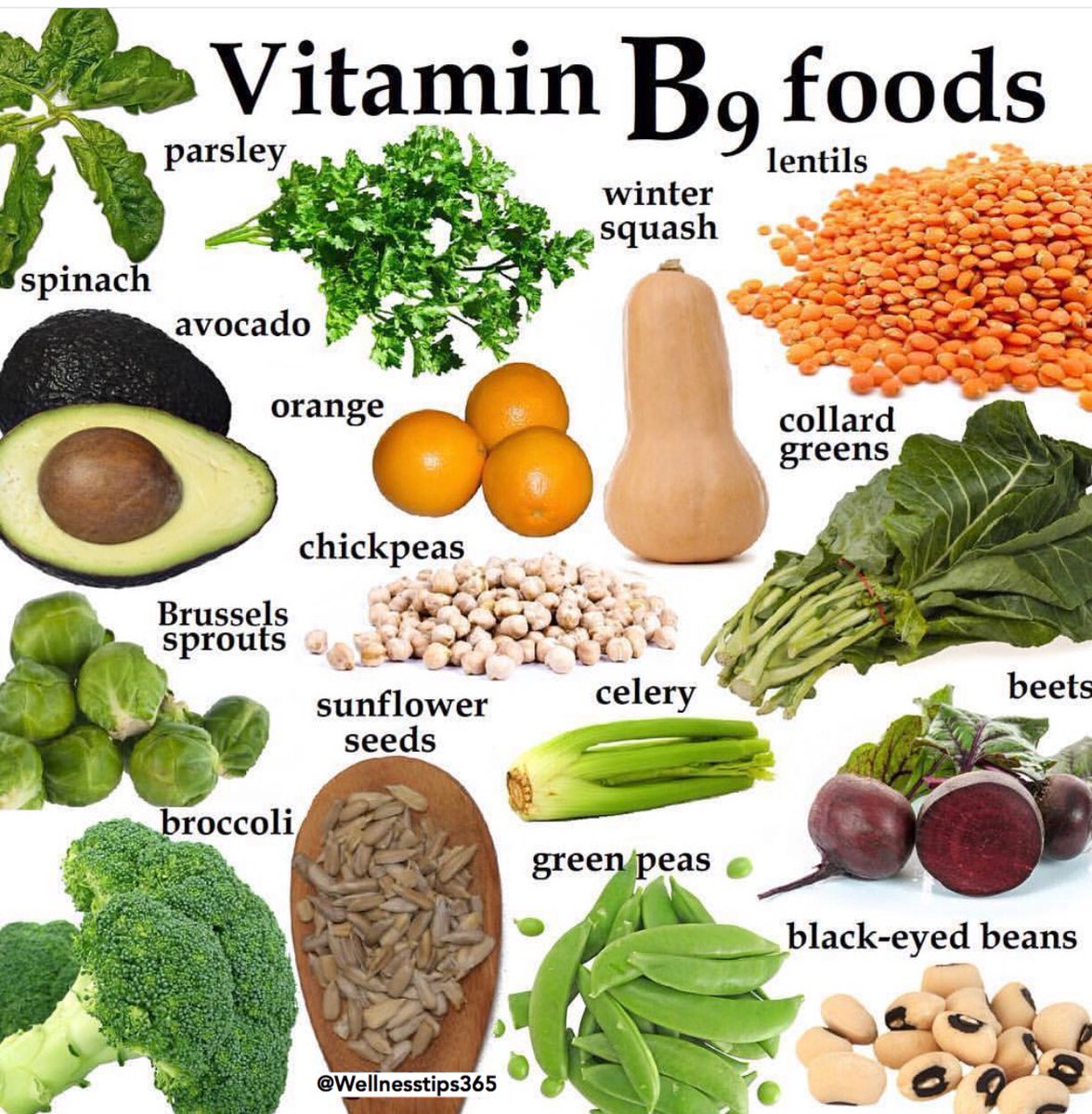 WellnessTips365's tweet photo. Vitamin B Superfoods 
#healthy #fitness #exercise #healthylifestyle #diet #nutrition #fitspo #lifestyle #cleaneating #wellnesstips #foodporn #inspiration #health #healthyfood #wellness #active #workout #goodmorning #fitnessmotivation #abs #goals #training #success #goodnight https://t.co/yMxky3q5AH
