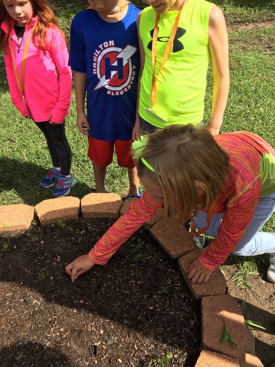 RobinYoung00's tweet photo. A beautiful day for Hamilton's garden!! #HESKind Minds https://t.co/LbjCZHOas0