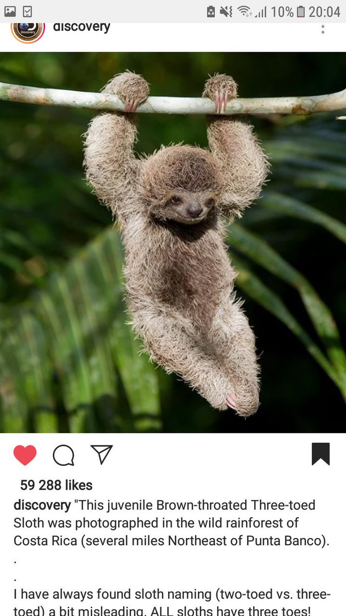 Remember when the Discovery channel wasnt just about texas? If your alive, take your time enjoy. "One love" by Nassir Jones is a song about American prison industrial complex.He was 17 when he wrote it🌱