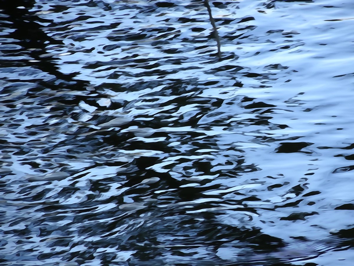 A watercolour painting of the river at Gibbon's Park #ldnont #gibbonspark