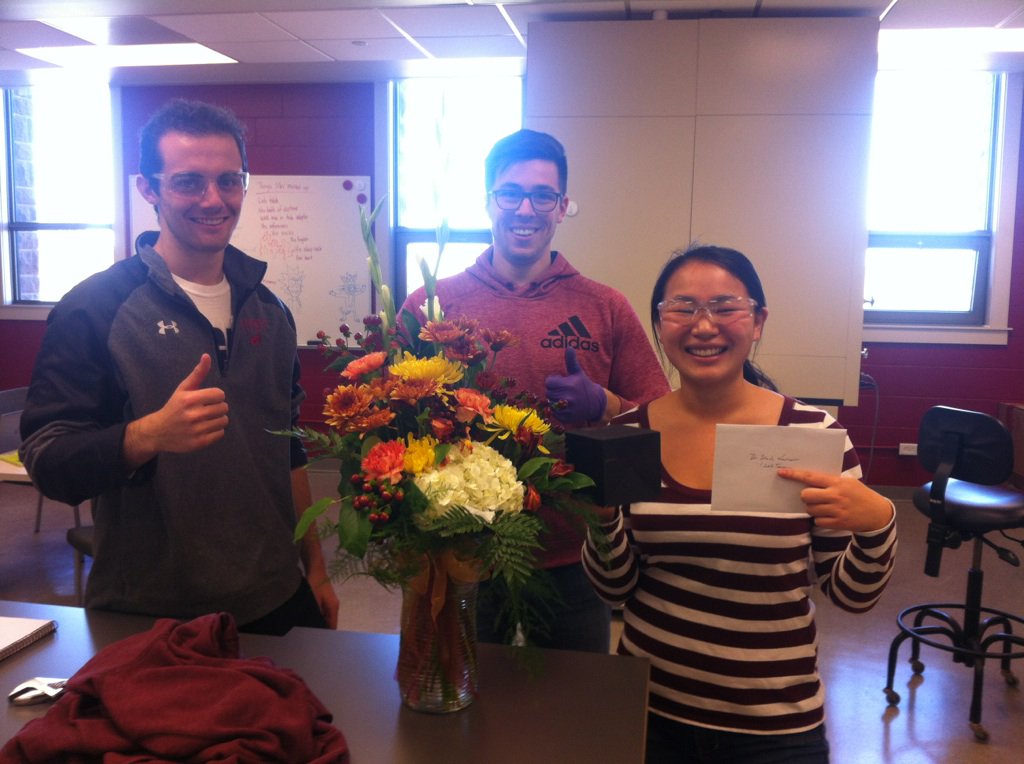 WildToads tweet media