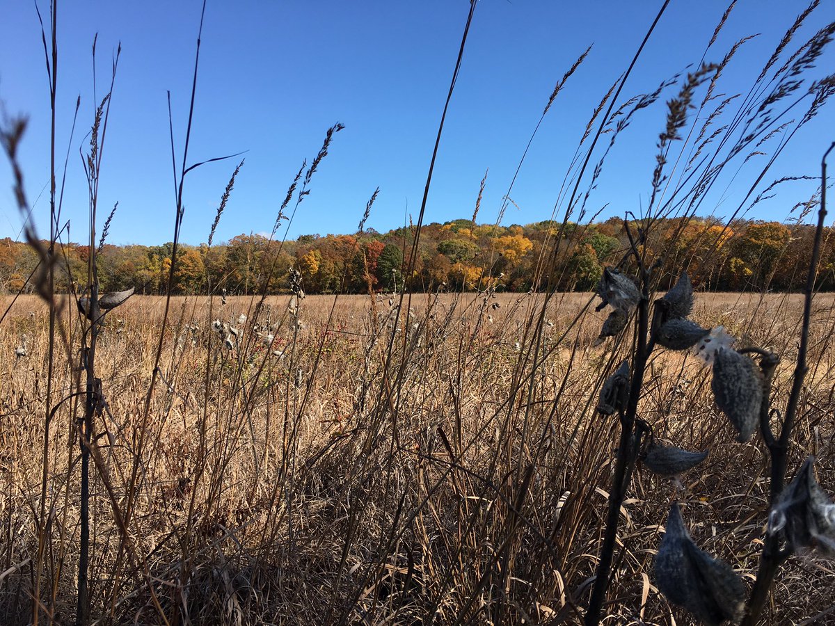 _PattySchroeder's tweet photo. 🍂🌾A great day for a field trip at Kill Creek Park! 🍃🍁 #geocaching #teambuilding @CTMSBulldog https://t.co/S9VCDwcYHr
