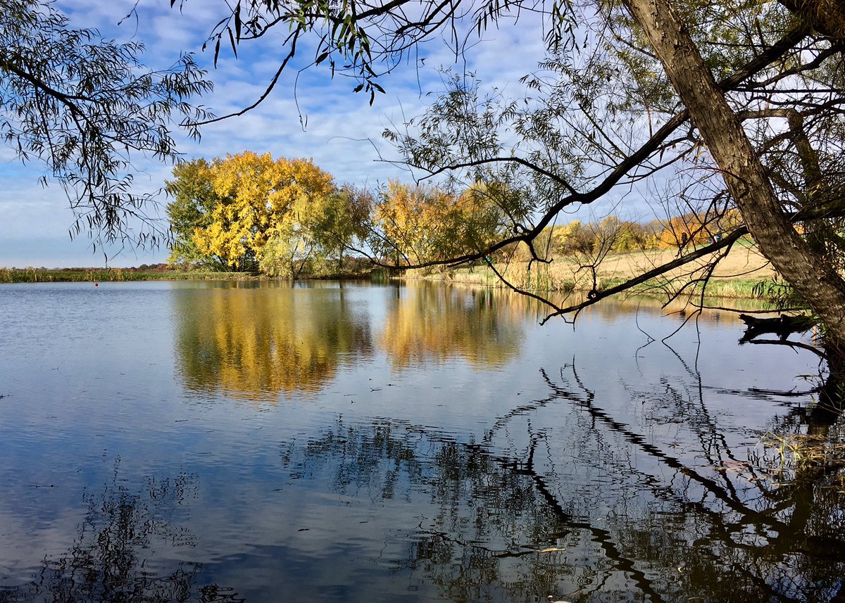 _PattySchroeder's tweet photo. 🍂🌾A great day for a field trip at Kill Creek Park! 🍃🍁 #geocaching #teambuilding #caterpillars #skippingrocks @CTMSBulldog https://t.co/ThgCypZbBA